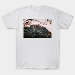 Mountain in Fall T-Shirt